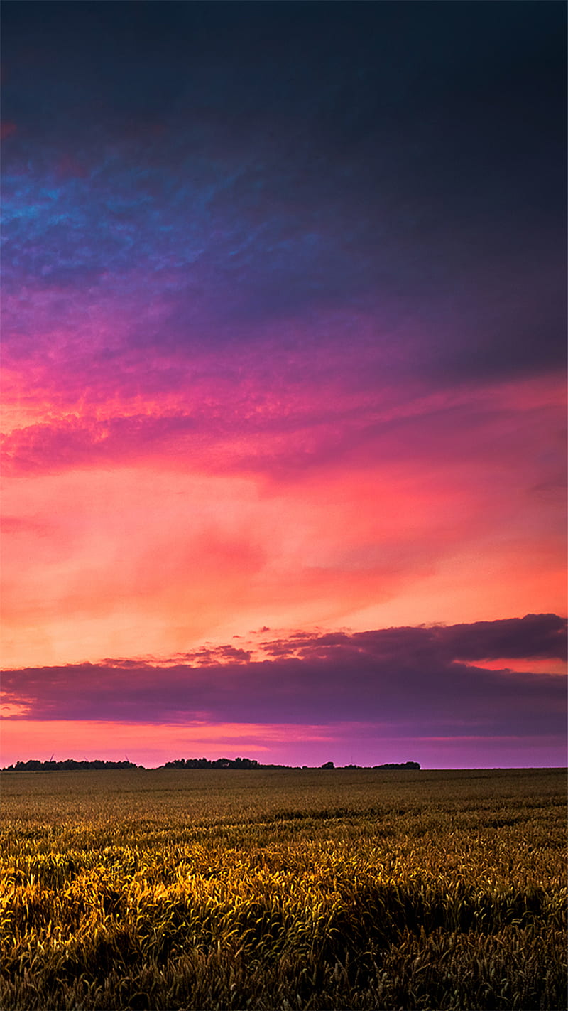 landscape 2, bonito, clouds, cosmos, explosion, field, flash, landscape, nature, pink, purple, sky, sun, violet, HD phone wallpaper