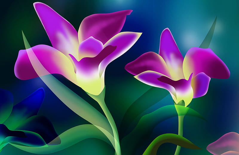 Flower Abstracts Flower Art Bonito Abstract Hd Wallpaper Peakpx