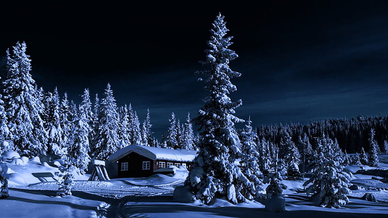 Winter Night, shelter, snow, night, winter, HD wallpaper