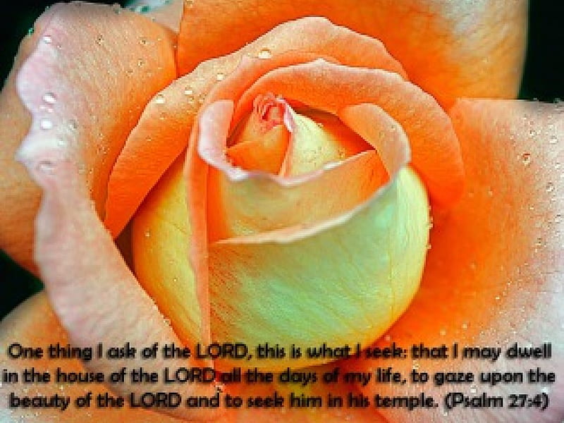 Psalm 27:4, Psalm, temple, Lord, life, HD wallpaper
