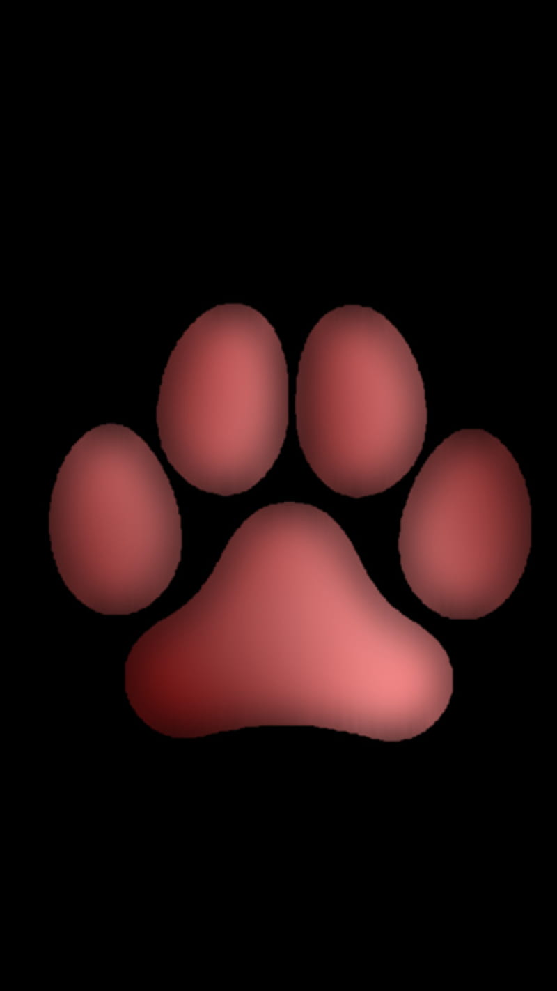 Pawprint , animal, cat, dog, furry, HD phone wallpaper