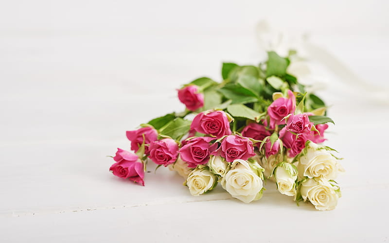 pink roses, white roses, beautiful flowers, background with roses, bouquet, roses on a white background, bouquet of roses, HD wallpaper