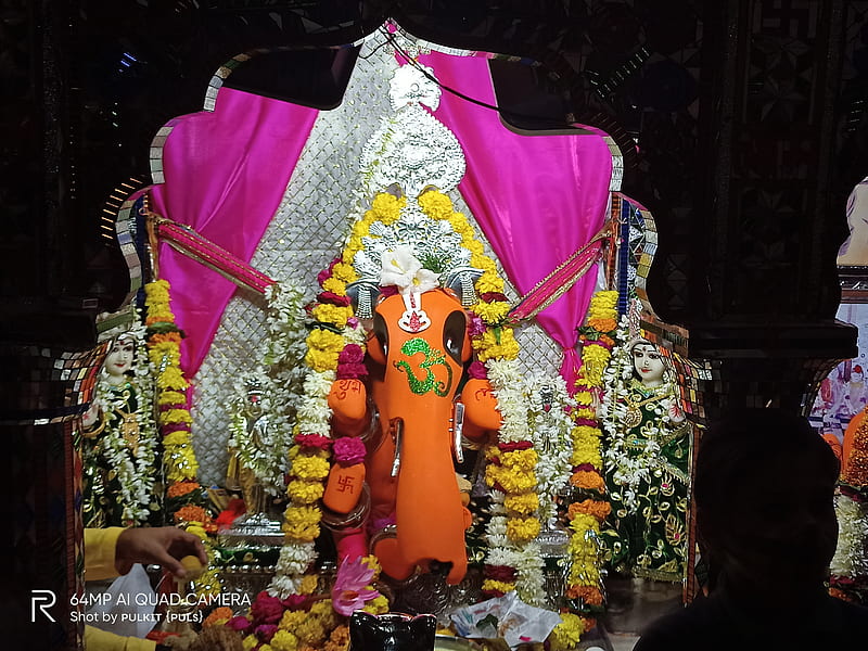 Silawat Pura Ganesh, ganeshji, jai shri ganesh, silawatpura ganesh, HD wallpaper