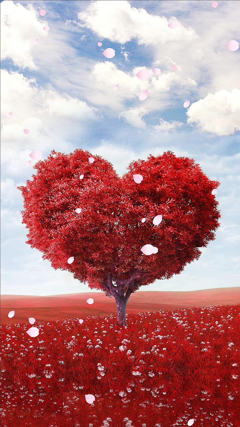 Love tree, para, amour, corazones, pink, trees, sky, heart, HD phone wallpaper