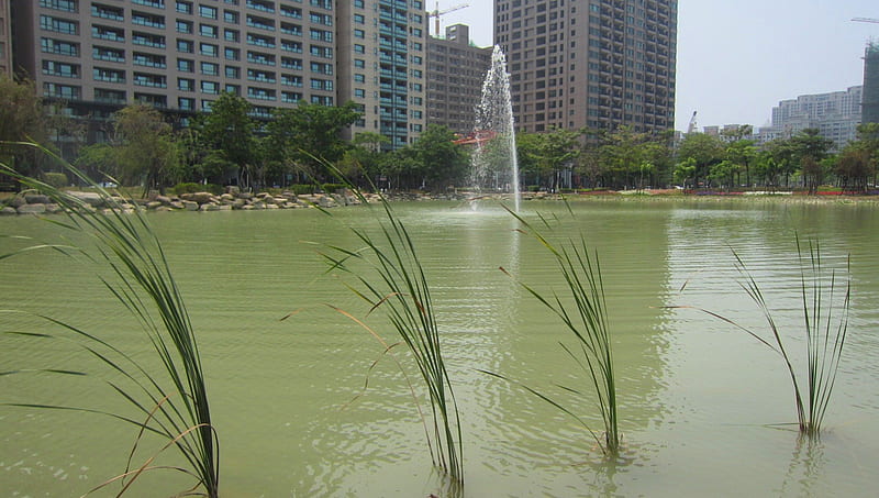 Fountain and grass in the lake, building, in the lake, Grass, Fountain, park, HD wallpaper