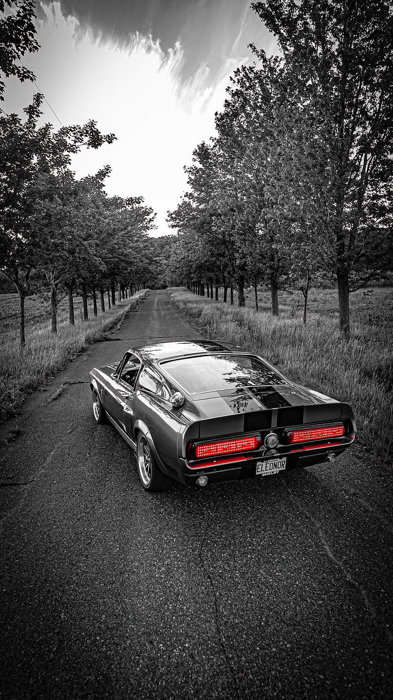 Gt500-e 1967, exotique, gt500, ford, legende, muscle, america, HD phone wallpaper