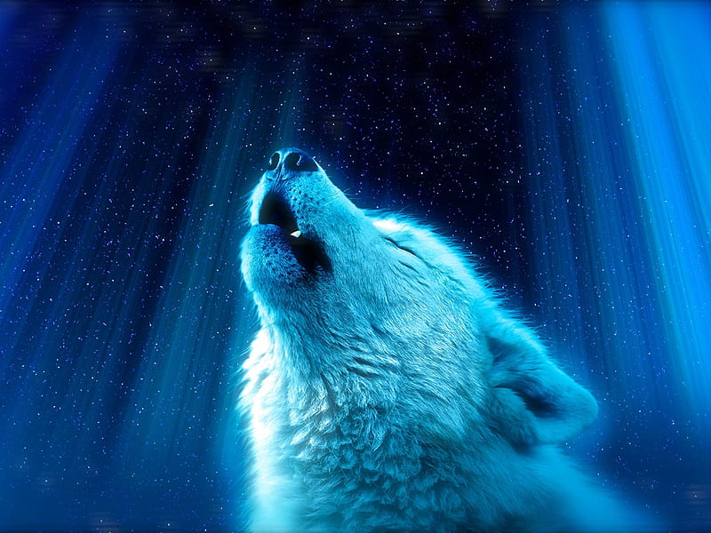 Fantastic white wolf howls at the moon, HD wallpaper