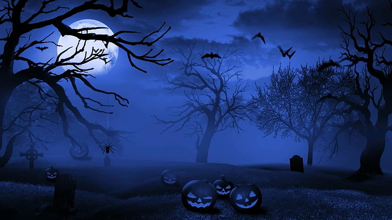 Happy Halloween!, moon, halloween, mist, tree, fantasy, moon, pumpkin, bat, white, blue, night, HD wallpaper