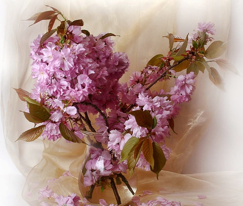 Still life, vase, spring, floral, purple, flowers, arrangement, beauty, nature, pink, HD wallpaper