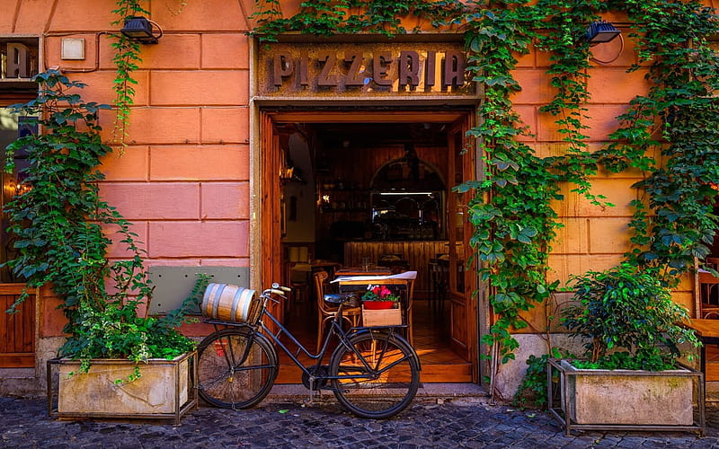 Rome Street Scene, house, plants, shop, bicycle, italy, door, HD wallpaper