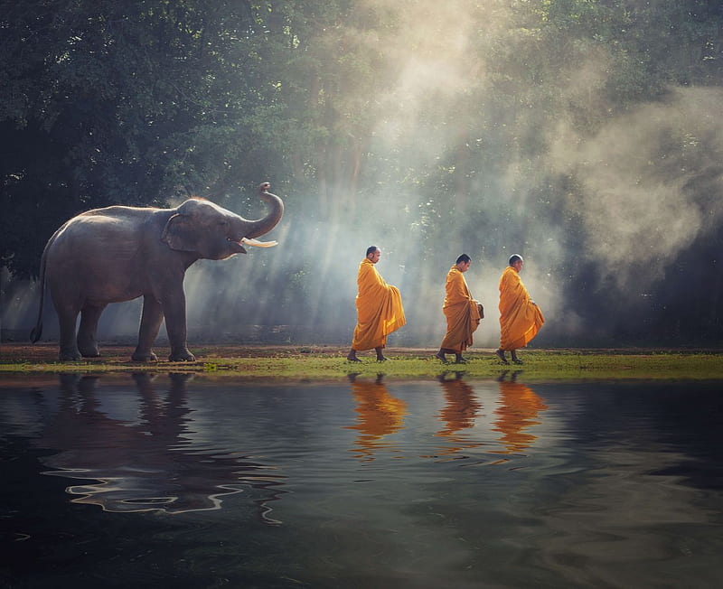 Elephant and Buddhists, Buddha Elephant, HD wallpaper