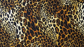 Beautiful Fall - . Cheetah print, Animal print, Cheetah print
