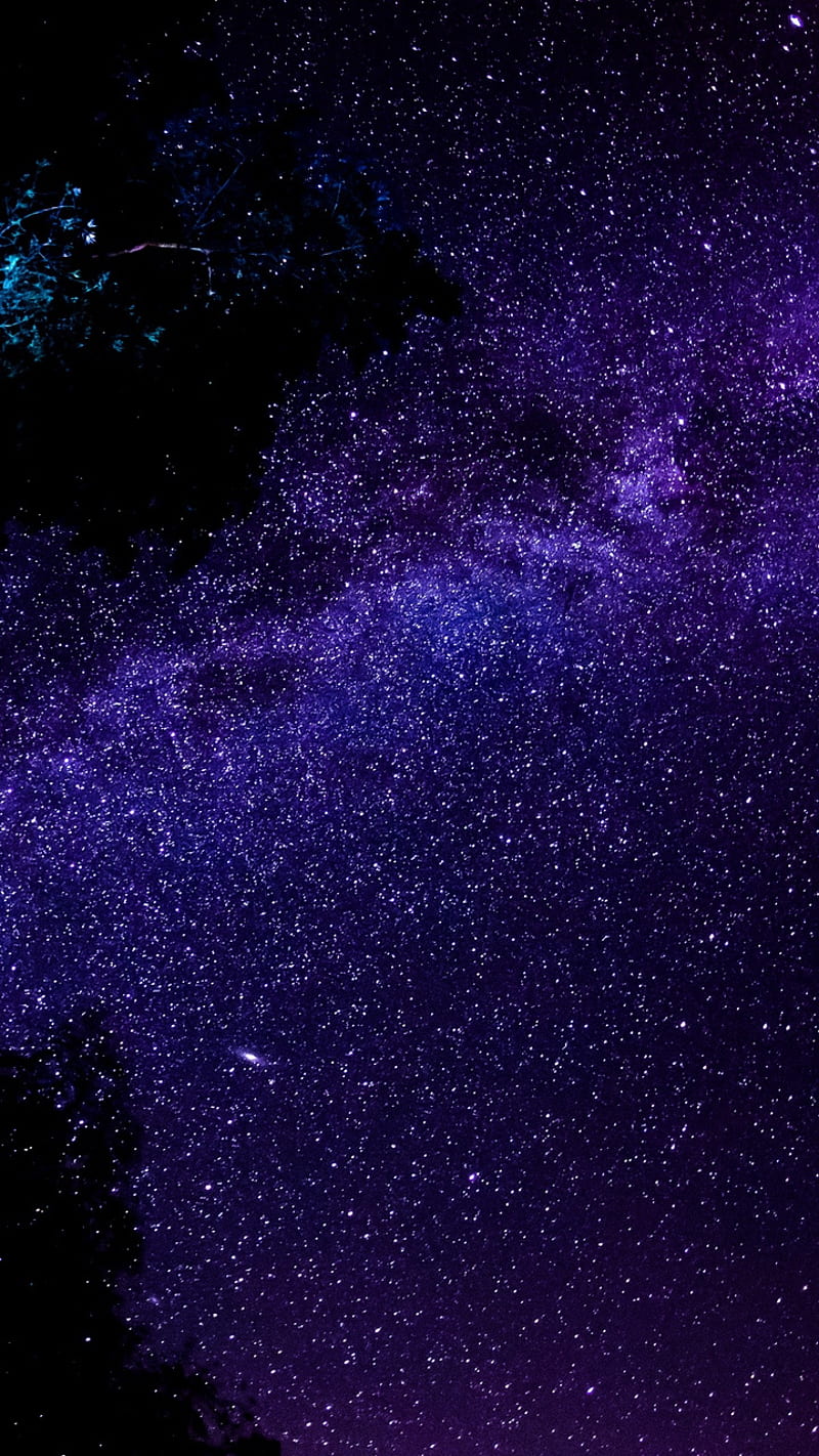 Purple Galaxy, sky, stars, universe, starry, night, HD phone wallpaper