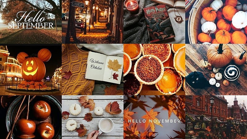 Pumpkin Autumn Leaves Disney Apples Cookies Candies Fall Collage, HD wallpaper