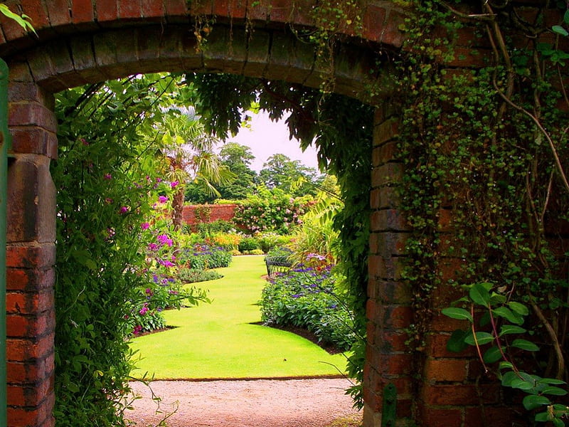 Peek in the garden, gate, arch, flowers, path, garden, trees, HD wallpaper