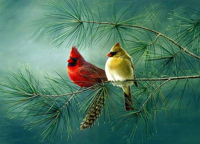 Cardinals, painting, birds, twig, pinecone, artwork, pair, pinetree, HD wallpaper