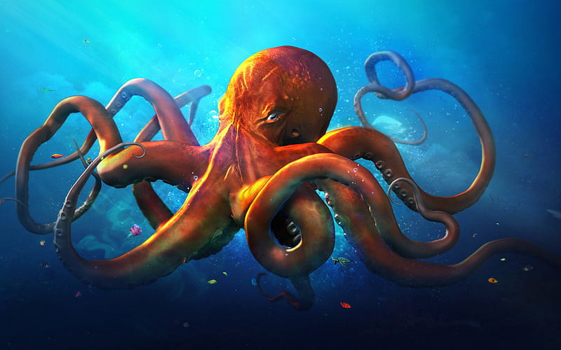 Slouching Octopus, octopus, graphics, animals, HD wallpaper