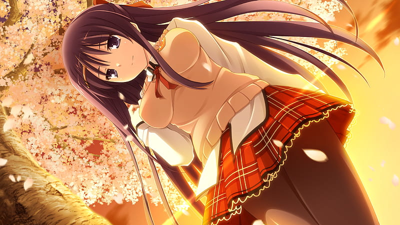 Yuki natsume, juego cg, árbol de sakura, a, gentei, flor de cerezo,  colegiala, Fondo de pantalla HD | Peakpx