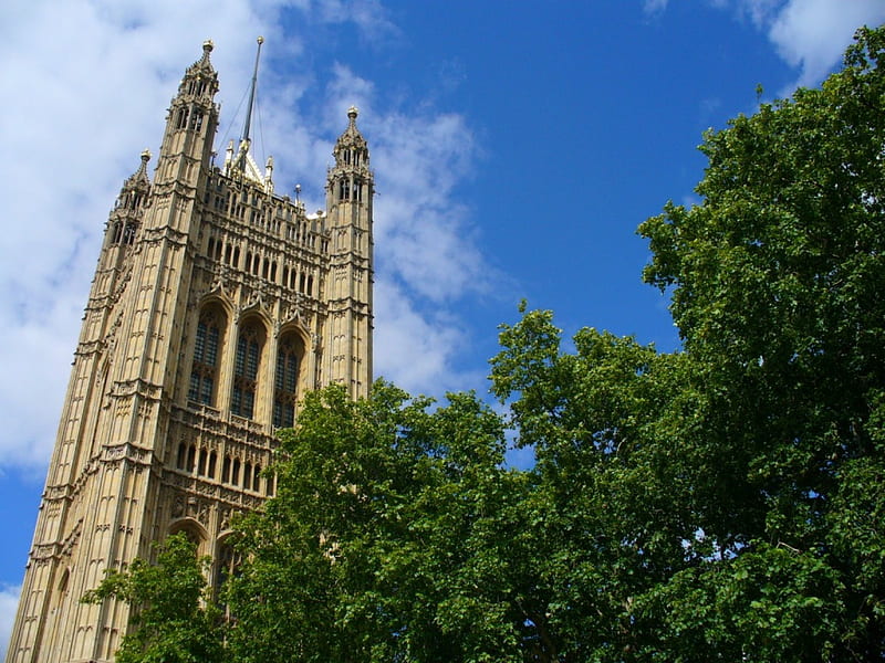 Houses of Parliament, London, UK, tree, british, united kingdom, parliament, sky, HD wallpaper
