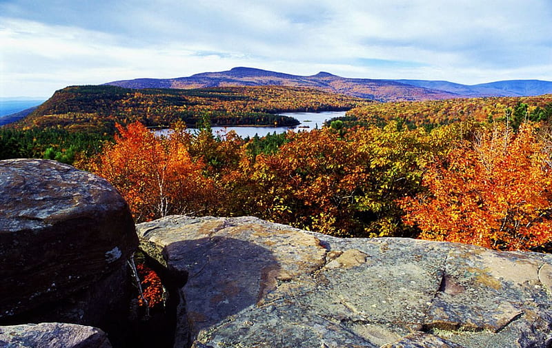 Autumn in Appalachians, fall, usa, colors, river, trees, HD wallpaper
