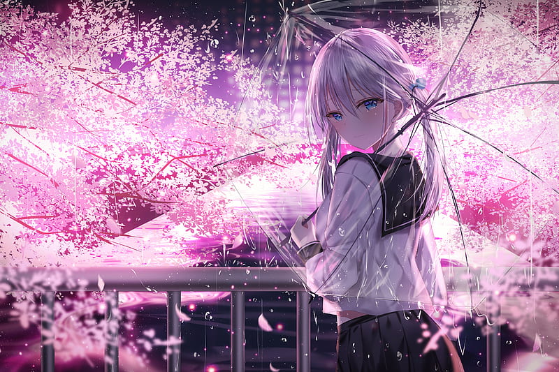 sakura blossom, anime girl, transparent umbrella, sad expression, school uniform, Anime, HD wallpaper