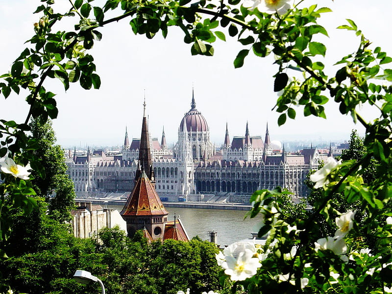 Hungarian Parlament, cupola, hungarian, white flowers, view, plants, dome, trees, parlament, HD wallpaper