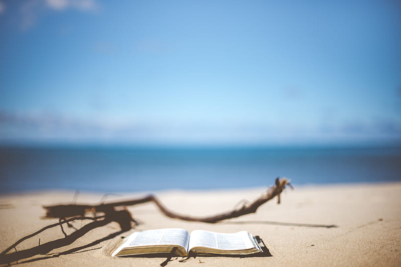 opened book near brown wood branch on sand under blue sky, HD wallpaper