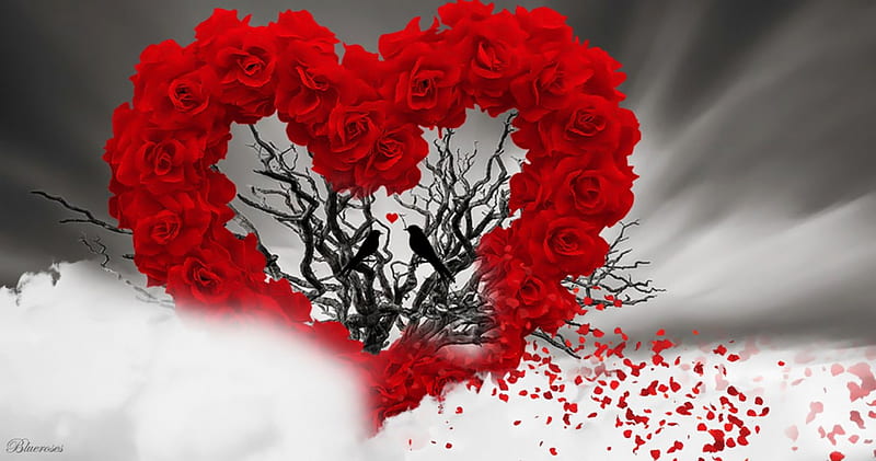 Give love a chance...♡, red, dry tree, birds, valentine, roses