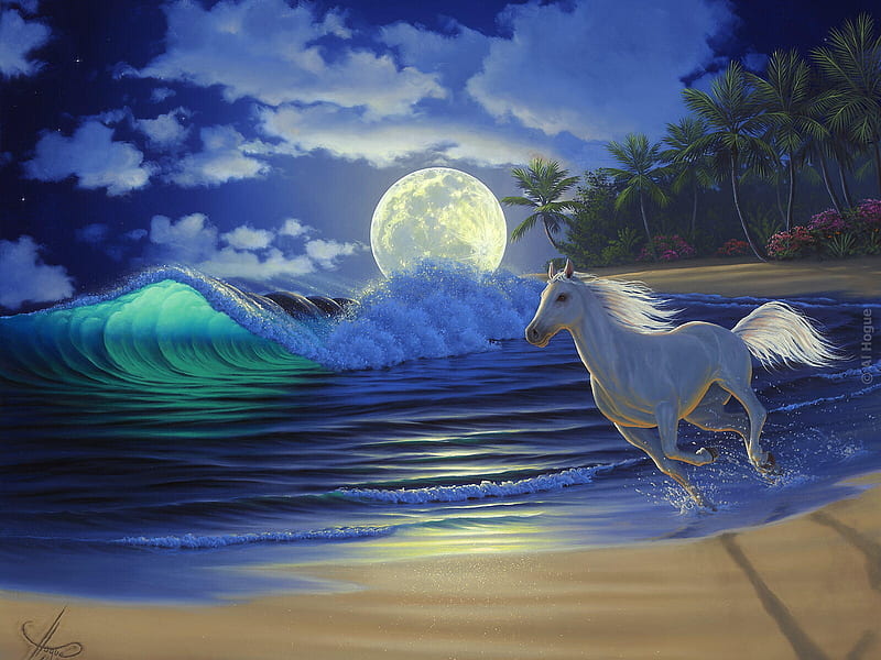 Moonlight Dance, waves, trees, horse, sky, sea, beach, moon, white, night, HD wallpaper