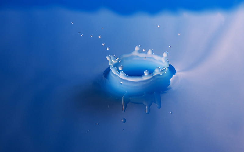 splash-Drops of water droplets macro graphy, HD wallpaper