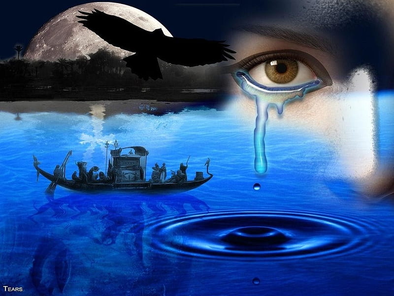 TEARS, moon, water, tear, eye, eagle, sea, blue, HD wallpaper