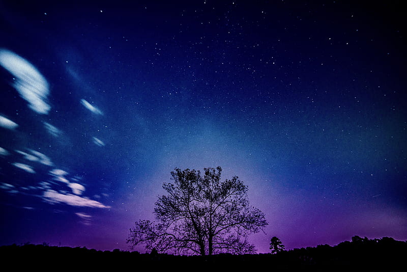 Tree Galaxy Sky , galaxy, sky, tree, nature, HD wallpaper