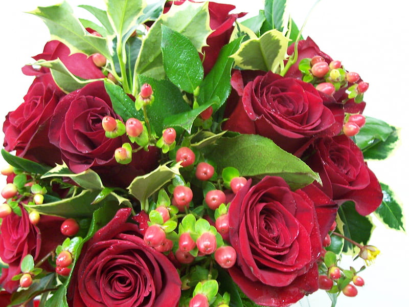 Rosas rojas, acebo e hiedra, rosa roja, ramo, flores, acebo, hiedra, Fondo  de pantalla HD | Peakpx