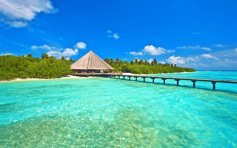 Maldives, Pier, Ocean, Bungalow, Bridge, HD wallpaper