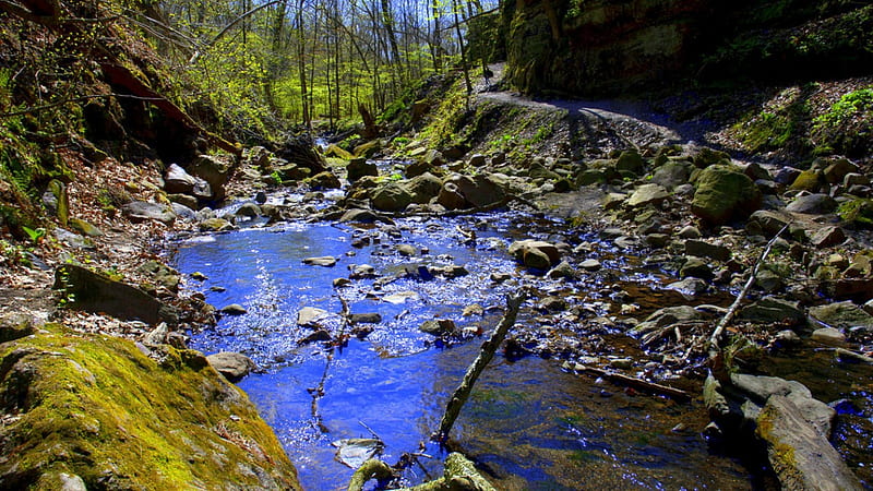 Springtime Stream at Parfreys Glen, Wisconsin Spring, Wisconsin Natural History Site, Spring, Paths, HD wallpaper