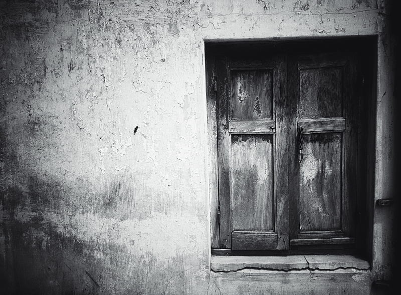 grayscale graphy of closed window ahead, HD wallpaper