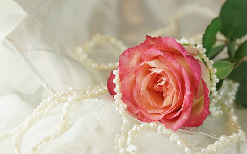 Rose and Pearl, rose, fabric, flowers, pearls, a necklace, HD wallpaper