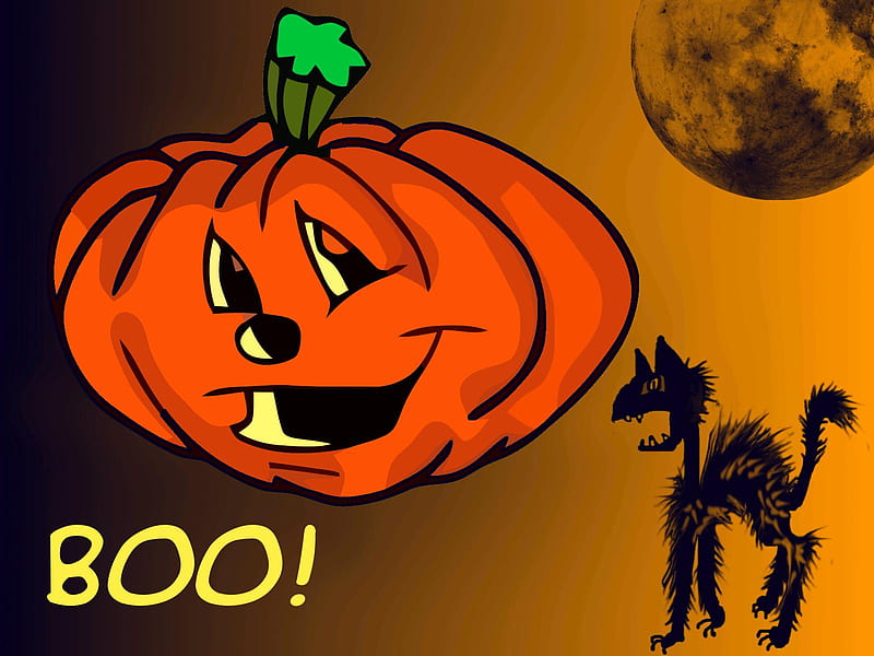 Halloween Pumpkin & Scaredy Cat, halloween fun, scaredy cat, pumpkin, HD wallpaper