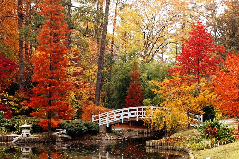 Duke Gardens, New Jersey, red, fall, gold, bridge, gardens, colors, river, HD wallpaper