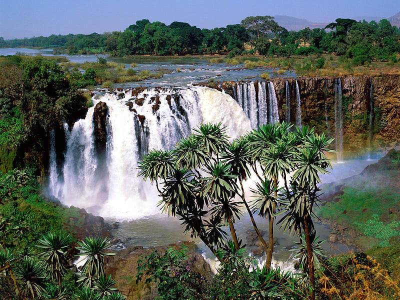 Blue Nile Falls Ethiopia, water, waterfall, trees, ethiopia, africa, HD wallpaper