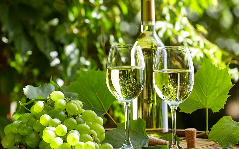 White wine, grapes, glasses of wine, summer, village wine barrel, wine, HD wallpaper