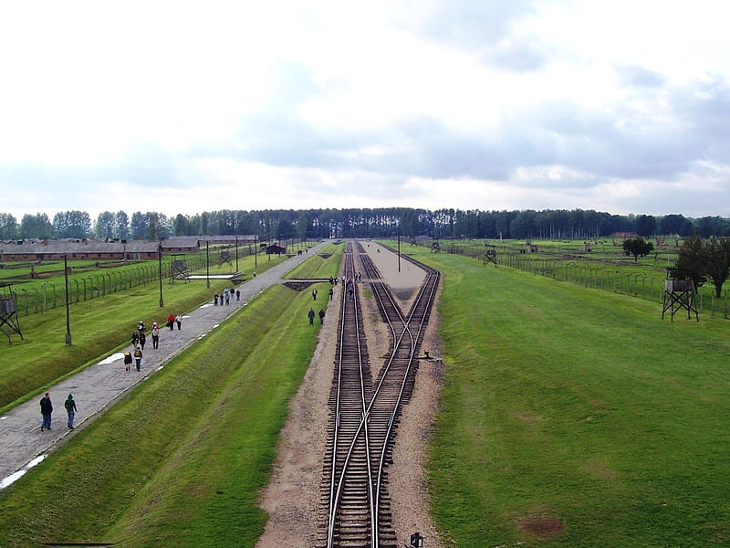 Auschwitz-Birkenau - Poland, Auschwitz Birkenau, History, Poland, Auschwitz, HD wallpaper