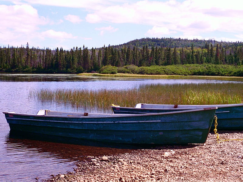 Two Little Fishing Boats, forest, boats, sky, lake, fishing, HD wallpaper