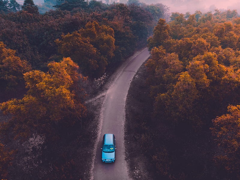 road, dji mavic pro, aerial view, fog, car, autumn, trees, Nature, HD wallpaper