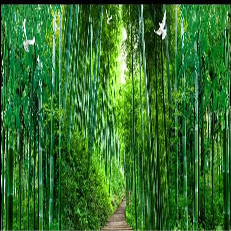 3D Bamboo Sea Forest Background Wall Murals Mural 3d Nature Wallpaper 4k 3d  Wall Papers For Tv Backdrop From Wallpaper20151688, $14.48 | DHgate.Com