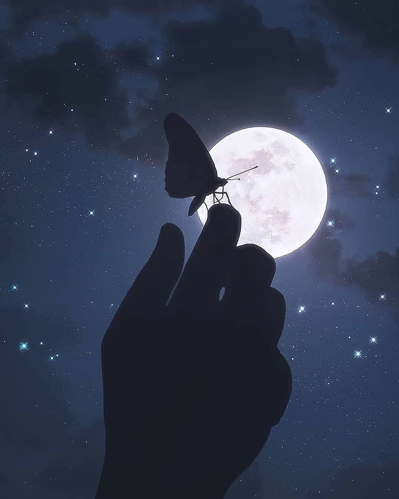 Butterfly in Hand, atmosphere, sky, HD phone wallpaper