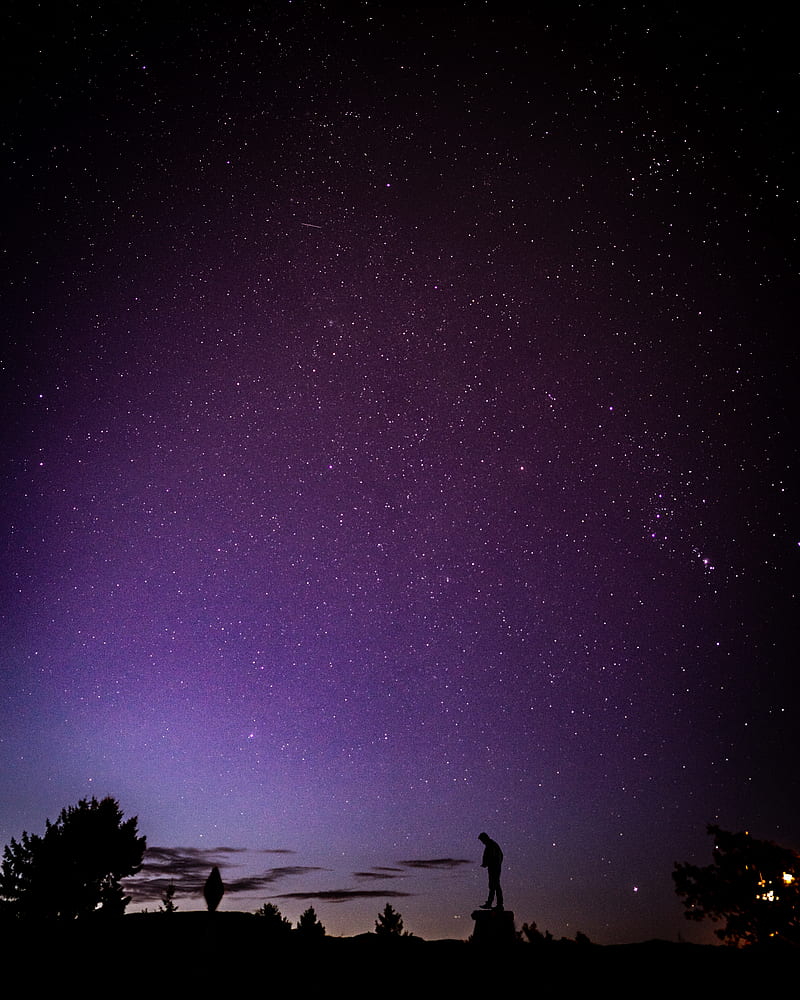 Silhouette of Man Standing on Wood Stump Under Starry Sky, HD phone wallpaper
