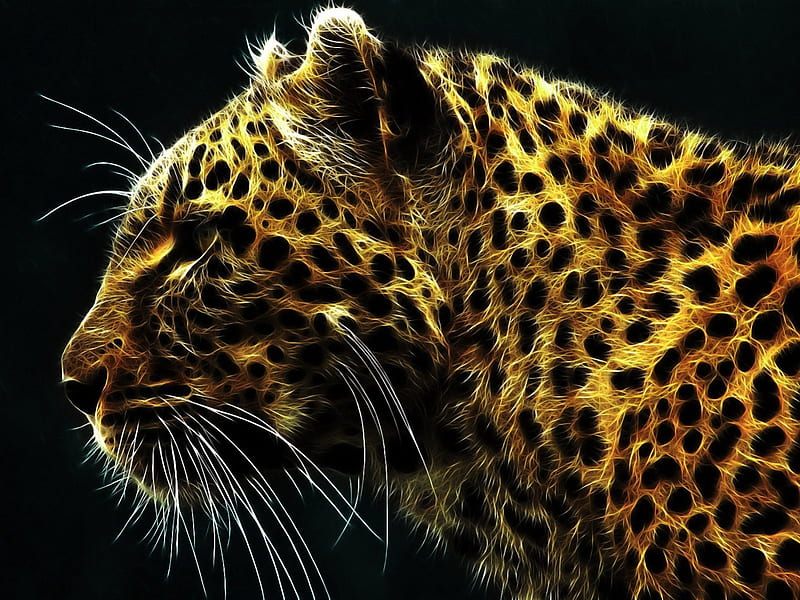 big Cat, cat, big, cats, wild, HD wallpaper
