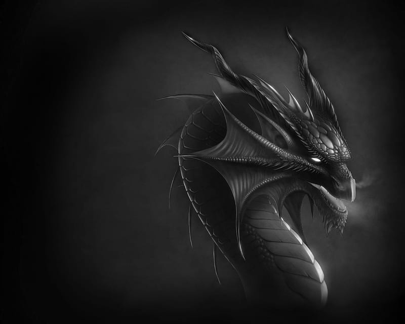 Black Dragons, Black and Gray Dragon, HD wallpaper