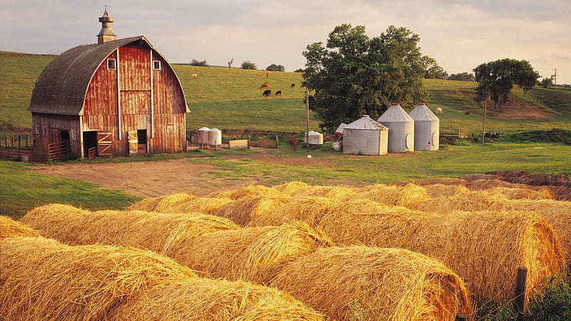 Iowa Hay, iowa farm, iowa farm house, hay, iowa, HD wallpaper